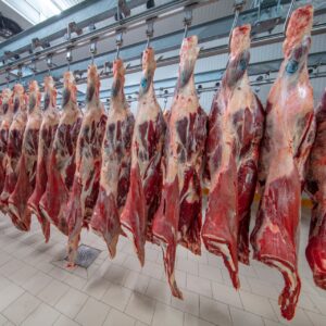 Højreb på ben. Finland. Kan KUN Leveres/hentes 29/9-2023