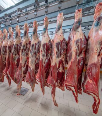 Højreb på ben. Finland. Kan KUN Leveres/hentes 29/9-2023