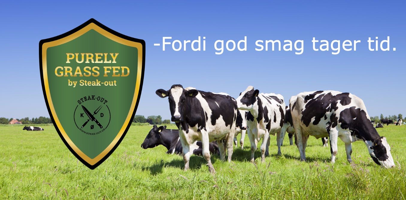 Græs fodret køer snager bedst