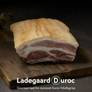 Ribbenssteg. Duroc grisen fra Ladegaard